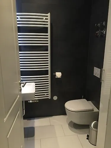 公寓式酒店 兹维内尔公寓 德累斯顿